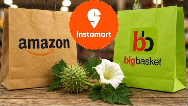 Amazon, Instamart లైసెన్సులు రద్దు! ఊహించని షాక్ ఇచ్చిన ప్రభుత్వం