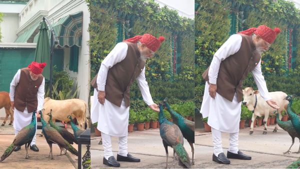 మోదీకి వీడ్కోలు పలికిన మూగజీవాలు.. 