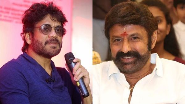 నాగార్జునకు బాగా నచ్చిన బాలకృష్ణ సినిమా