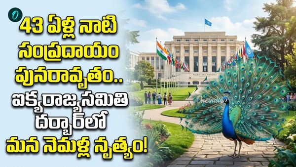 రాజ్యతంత్రంలో రాచఠీవి.. మన నెమళ్లు ఇక ఐక్యరాజ్యసమితిలో