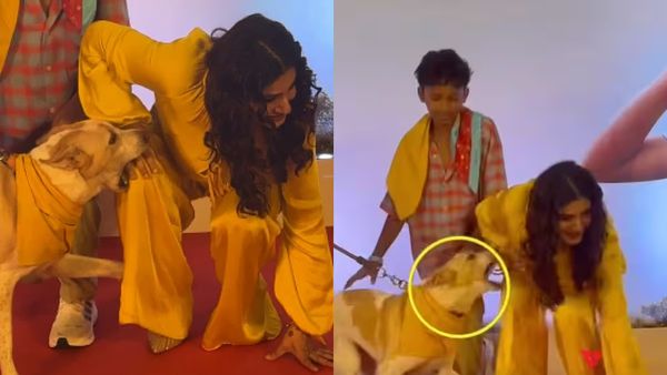 ఆ హీరోయిన్‌ను కుక్క కరిచిందా?: వైరల్ వీడియోపై మౌనం వీడిన బ్యూటీ!