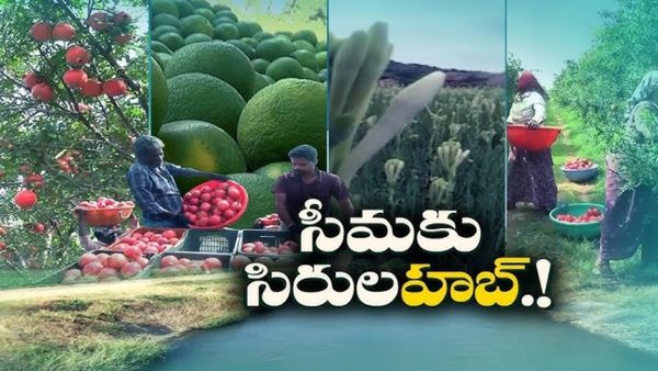 రాయలసీమ ఉద్యాన హబ్.. రాష్ట్రవాటా రూ.10 వేల కోట్లు భరించేలా ఏపీకి కేంద్రం భారీ సాయం!
