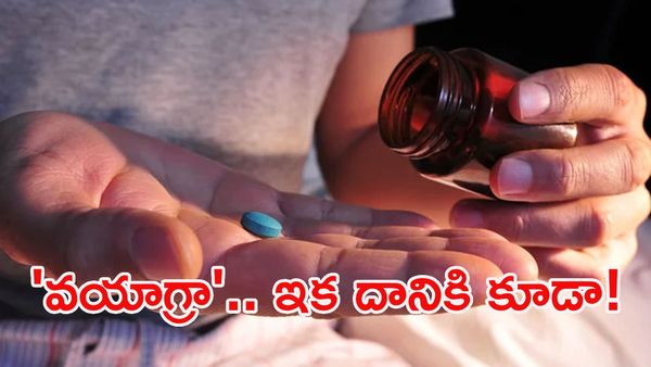 'వయాగ్రా' సూపర్ పవర్.. సైంటిస్టులు చెప్పిన కొత్త విషయం ఇదే! 