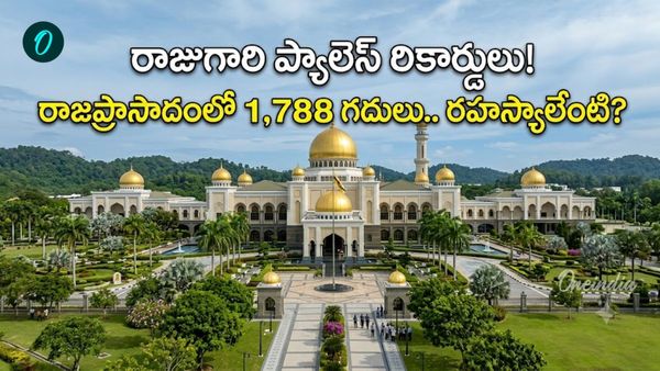 సుల్తాన్ కా ఇస్తానా నూరుల్ ఈమాన్ : రాచరిక వైభవం చూసి నివ్వెరపోవాల్సిందే