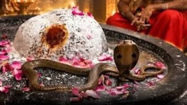 నాగబంధంలో హన్మకొండ సిద్ధేశ్వరాలయం.. రోజూ ఆలయం తెరవగానే అద్భుతం!