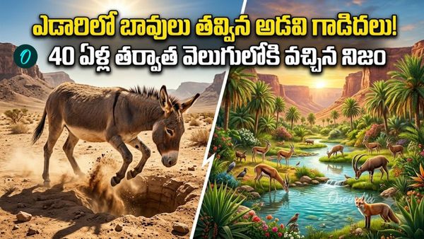 28 గాడిదలు కథ: మారిపోయిన దేశ భవితవ్యం! ఎడారిలో మహా అద్భుతం