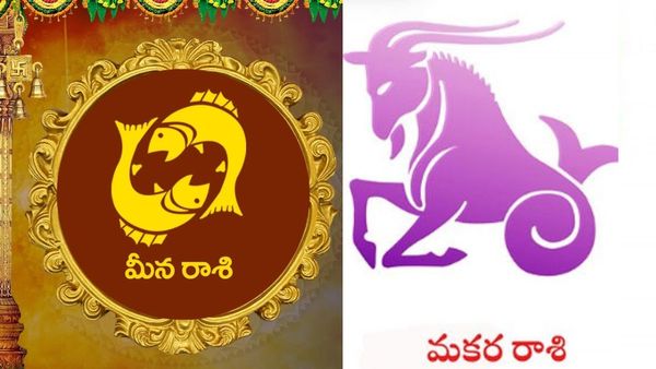 మకర రాశి, మీన రాశి 2026 అక్టోబరు నెల సమగ్ర జాతక ఫలం