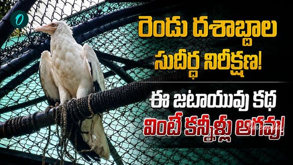 రెండు దశాబ్దాలుగా తోడు లేకుండానే.. 'జటాయువు' జీవితంలో ఊహించని మలుపు..