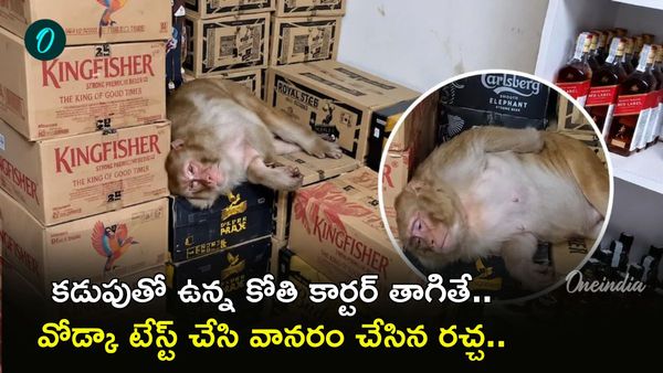 క్వార్టర్ తాగిన కోతి.. వైన్ షాప్ ఓనర్‌కు షాకిచ్చిన వానరం: VIRAL VIDEO