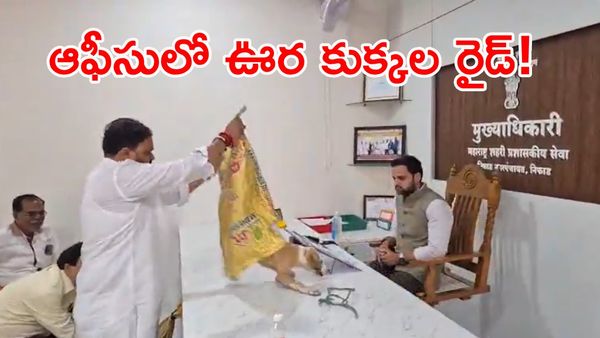 అధికారులారా.. ఈ కుక్కలే నయం! వినూత్న నిరసనతో షాక్!! (వీడియో)