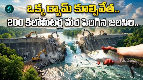 చేపల కోసం 70 ఏళ్ల డ్యామ్ నేలమట్టం.. ప్రకృతి సాధించిన అరుదైన విజయం!