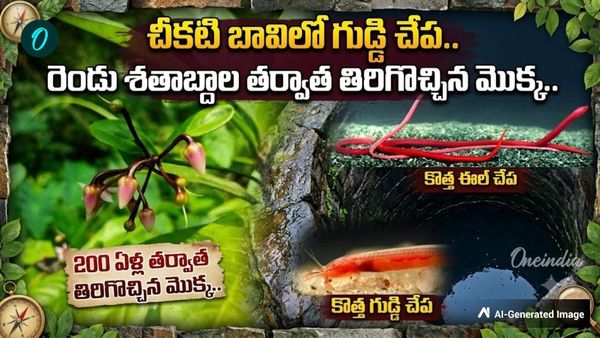 204 ఏళ్ల తర్వాత ప్రకృతే అవాక్కయ్యే వింత.. సీఎం సంచలన పోస్ట్