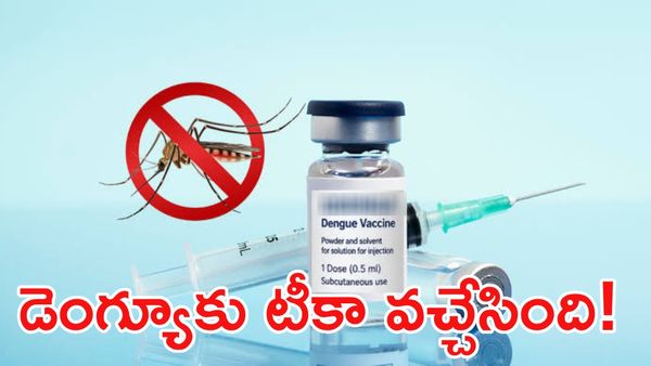 డెంగ్యూకు చెక్ పెట్టే వ్యాక్సిన్ వచ్చేసిందా? భారత్‌లో తొలి పైలట్ ప్రాజెక్ట్ ప్రారంభం!