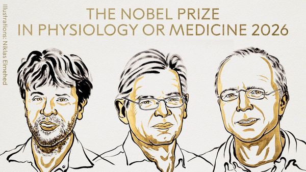 Nobel Medicine Prize 2026: వైద్య శాస్త్రంలో ముగ్గురికి నోబెల్ పురస్కారం- ఎందుకంటే?