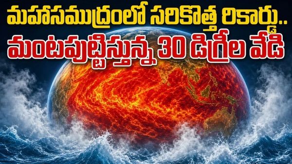 సలసలా మరిగిపోతున్న మహాసముద్రం.. చరిత్రలో తొలిసారి 30 డిగ్రీల వేడి