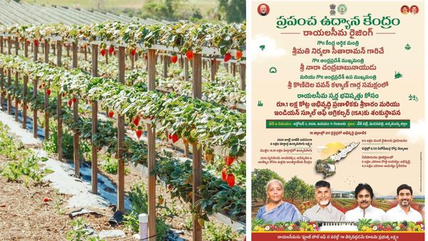 ఏపీకి లక్షకోట్ల వరం.. హార్టీకల్చర్ హబ్ తో రాయలసీమ ఇకపై రతనాల సీమ!