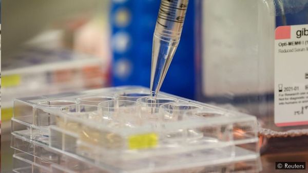 కరోనావైరస్‌ను ఎదుర్కొనేందుకు కొందరిలో 'రహస్య' రోగ నిరోధక కణాలున్నాయా?