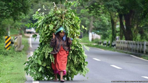 అసోం, త్రిపుర రాష్ట్రాలతో మిజోరాంకు గొడవలు ఎందుకు వచ్చాయి?