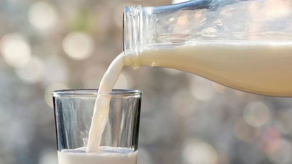 చైనా వాళ్లకు పాలను అరిగించుకునే శక్తి ఎలా వచ్చింది?