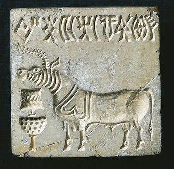 సింధు నాగరికత ప్రజలు గొడ్డు మాంసం తినేవారా? వారు వాడిన మట్టి కుండలు చెప్తున్న రహస్యాలేమిటి?