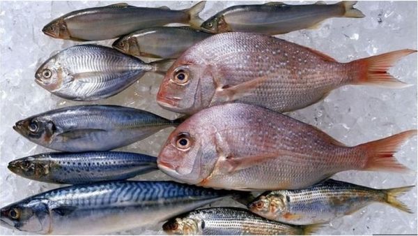 కోవిడ్-19: చేపల మార్కెట్‌లో కరోనా కలకలం.. వేలాది మందికి టెస్టులు చేస్తున్న థాయిలాండ్