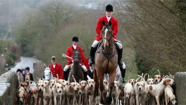 Ind vs Aus: బాక్సింగ్‌ డే టెస్టుకు ఈ పేరు ఎలా వచ్చింది? క్రికెట్‌తో సంబంధంలేని రోజును అలా ఎందుకు పిలుస్తారు?