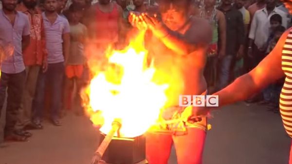 మాల మాస్టిన్‌లు: పొట్టకూటి కోసం ప్రమాదానికి ఎదురెళ్లే ఈ సాహసగాళ్లు ఎవరు