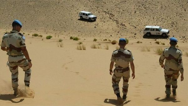 2,800 కిలోమీటర్ల గోడ.. అక్కడ అడుగడుగునా మందుపాతరలే