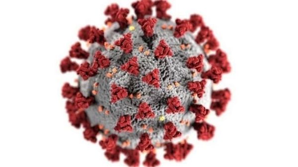 ఆంధ్రప్రదేశ్: 15 నుంచి చెత్త పన్ను అమలుకు సన్నాహాలు- ప్రెస్ రివ్యూ