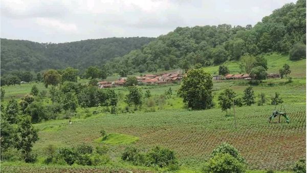 గోడ బడి: ఆదివాసీ విద్యార్థులకు ఇదే ఆన్‌లైన్ పాఠం