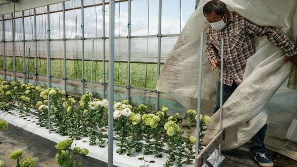 టోక్యో ఒలింపిక్స్ విజేతలకు ఇచ్చిన బొకేల కథేంటో తెలుసా