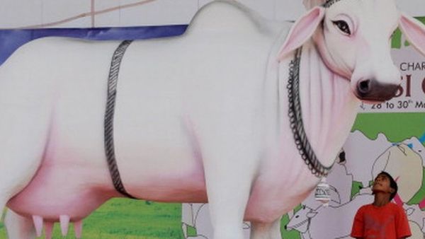 తిరుమలలో ‘సంప్రదాయ భోజనం’ ప్రత్యేకతలు ఏమిటి, మెనూలో ఏమేం ఉంటున్నాయి