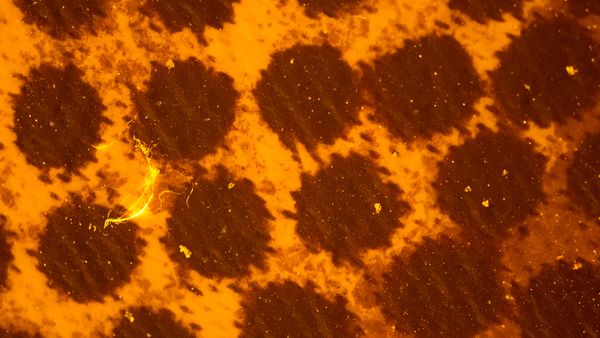 బాటిల్ నీళ్లు తాగుతున్నారా? అందులో ఏమేం ఉన్నాయో తెలుసా