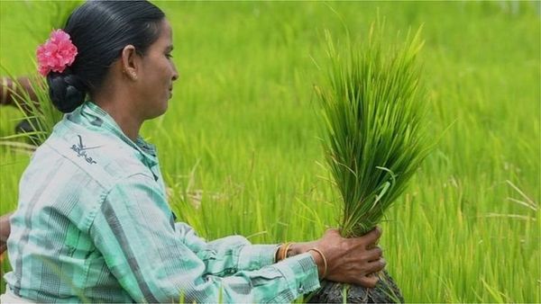 BiggBoss: సరయు ఎలిమినేషన్‌కు కారణమిదే