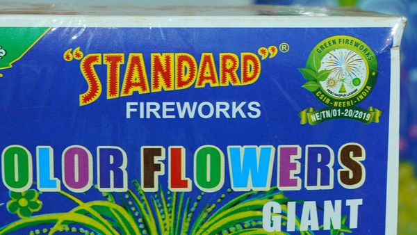 దీపావళి: గ్రీన్ క్రాకర్స్ అంటే ఏంటి, మామూలు టపాసుల మాదిరిగానే పేలతాయా ?