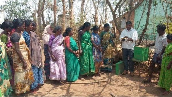 అడవిలో కూలి పనులు చేసిన ఈ గిరిజన మహిళ.. రైతులకు రోల్ మోడల్‌ ఎలా అయ్యారు?