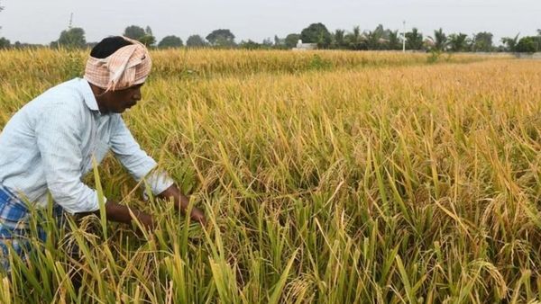 రైతు మహా ధర్నా: టీఆర్ఎస్ చీఫ్ కేసీఆర్ ధర్నా చౌక్ బాట ఎందుకు పట్టాల్సి వచ్చింది?