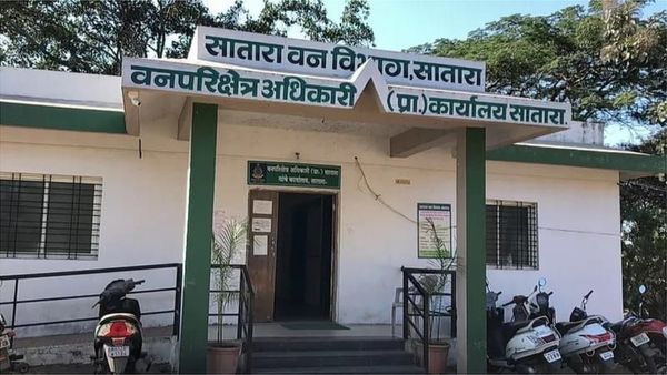 గర్భిణి అయిన మహిళా ఫారెస్ట్ రేంజర్‌ను భర్త కళ్లెదుటే ఎందుకు కొట్టారు? ఎవరు కొట్టారు