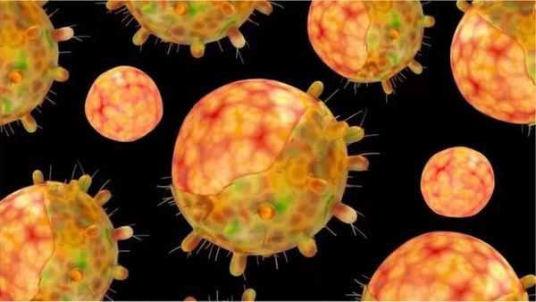 కోవిడ్ కారణంగా ప్రధాని పెళ్లి రద్దు