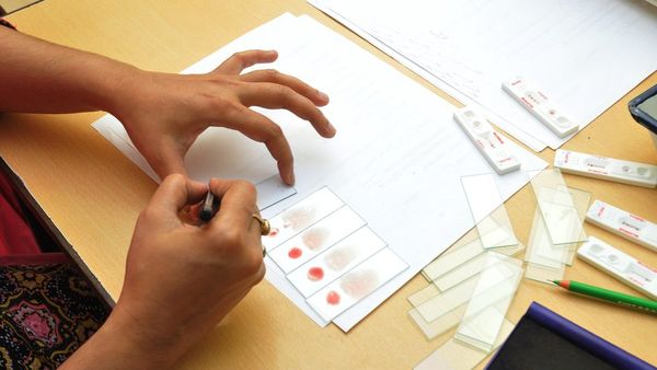 డెంగీ ఫీవర్: వర్షాలు, వరదలు కాదు...ఈ దోమ మహా ప్రమాదకరం