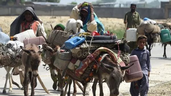 పాకిస్తాన్: కోర్టుకు హాజరైన గాడిదలు.. ఎందుకంటే