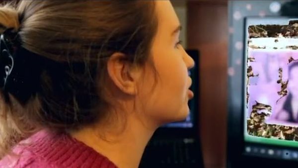 వెబ్‌క్యామ్ ట్రాన్స్‌లేటర్లు: అశ్లీల చాటింగ్‌ల వెనుక రహస్య సంధానకర్తలు.. ‘మీతో మాట్లాడేది మోడలా? మూడో మనిషా?’