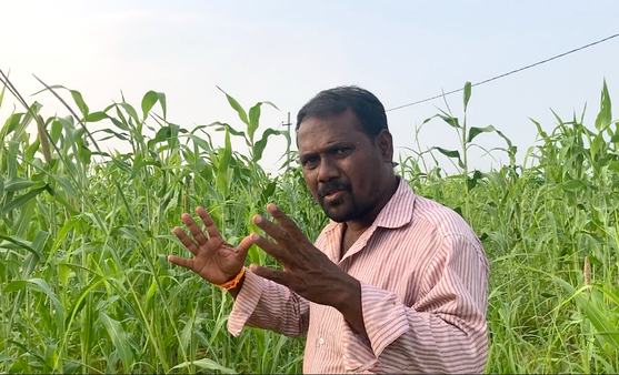 కొమెర జాజి: నల్లమల అడవిలో పార్టీలు చేసుకునే కుర్రాళ్లకు ఆయన ఎందుకు క్లాసు తీసుకుంటారు?