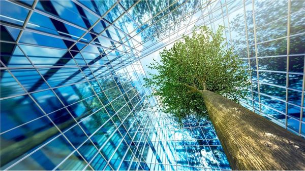 ఒక నగరంలోని ప్రజలంతా ఒకే భవనంలో నివసించే రోజులు వస్తాయా, ఇది ఎలా సాధ్యం?