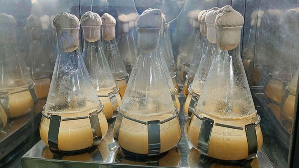 ఇక్కడ వాడిన పూలతో చెప్పులు కుడుతున్నారు, ఎలాగంటే.....