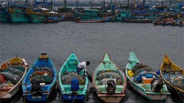 సముద్రంలో చేపల వేటకు వెళ్లి తప్పిపోయారు, ఒక దీవిలో చిక్కుకున్నారు.. తరువాత ఏమైంది?