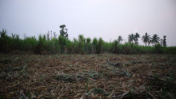 కామారెడ్డి: మాస్టర్ ప్లాన్‌ను రైతులు ఎందుకు వ్యతిరేకిస్తున్నారు, ప్రభుత్వం ఏం చెబుతోంది?