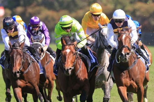 జల్లికట్టు, కోడి పందేలు తరహాలో కుక్కల కొట్లాటలు... జంతువులతో ఇలా ఎన్ని రకాల పోటీలు జరుగుతున్నాయో మీకు తెలుసా?