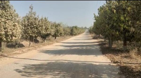 అబ్దుల్లాపూర్ మెట్-నవీన్ మర్డర్ కేసు: హత్య జరిగిన తీరుపై ఎఫ్ఐఆర్‌లో పోలీసులు ఏం చెప్పారు?