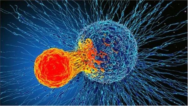 World Cancer Day: క్యాన్సర్‌ కారణాలు ఏమిటి? ముందుగా గుర్తించడం ఎలా? చికిత్సలు ఏమున్నాయి?